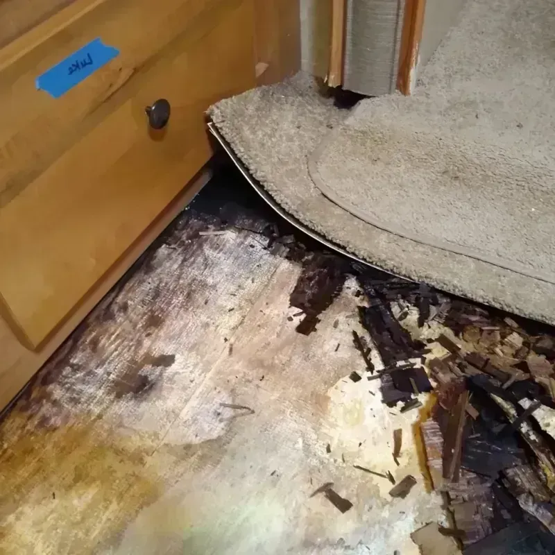 Wood Floor Water Damage in Minerva Park, OH